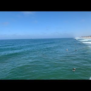 Meet your Posher, Dominique